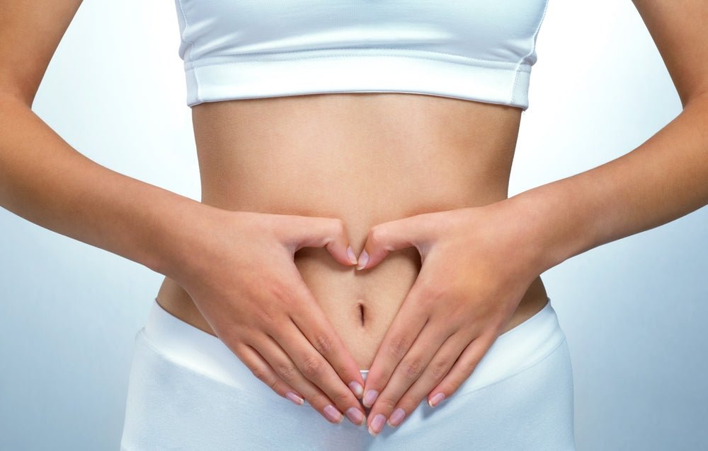 🌿 MaxFuel Gut Health Guide: Heal Your Core, Fuel Your Life - MaxFuel