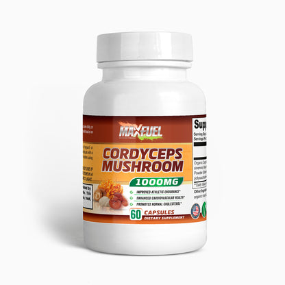 Cordyceps Mushroom