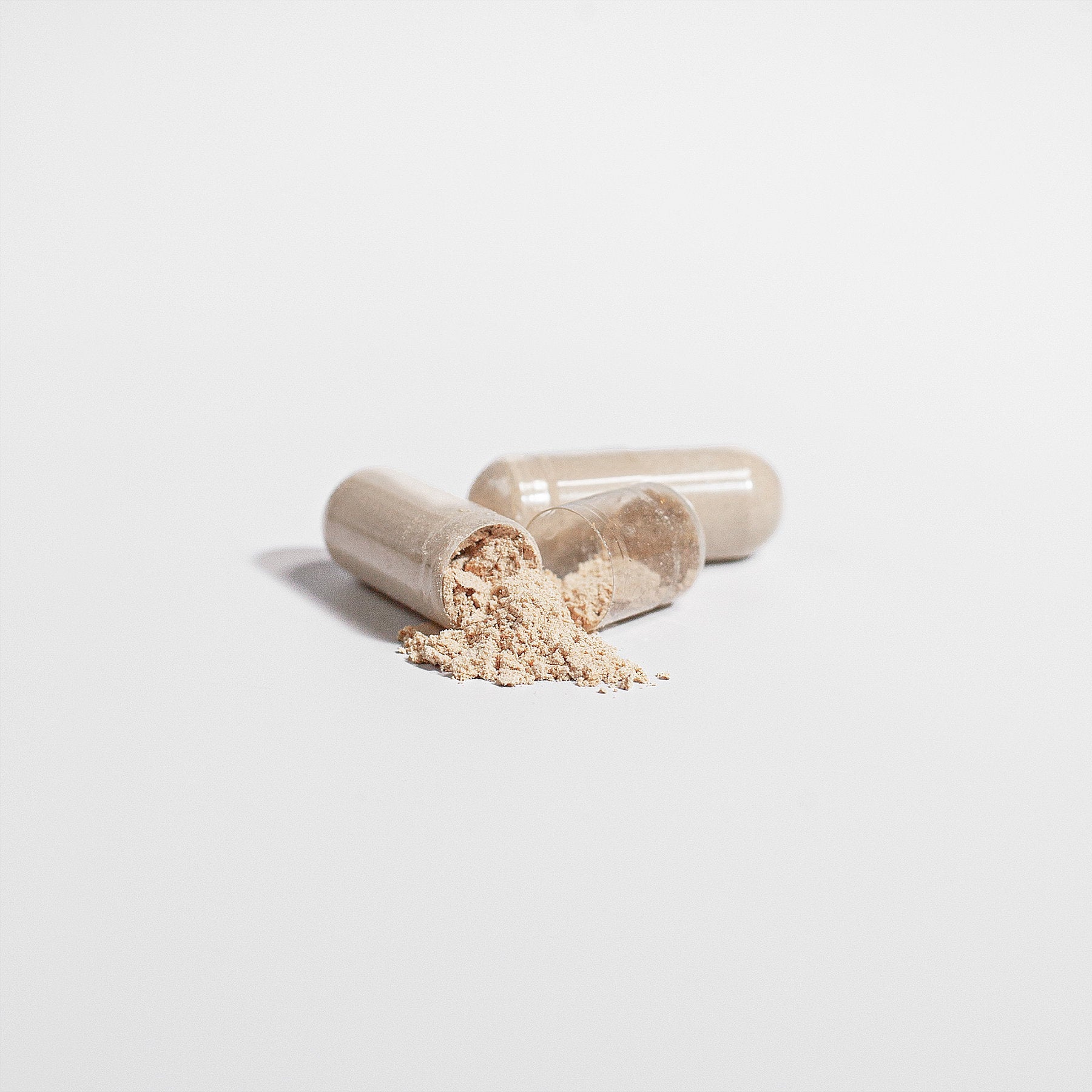 Lion's Mane Mushroom - MaxFuel